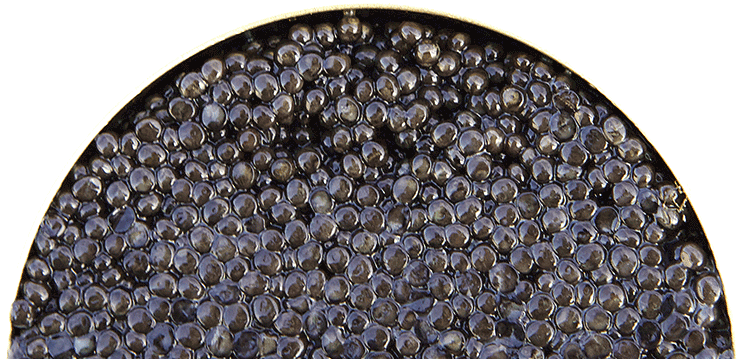 Boutique En Ligne - Circle (753x366), Png Download