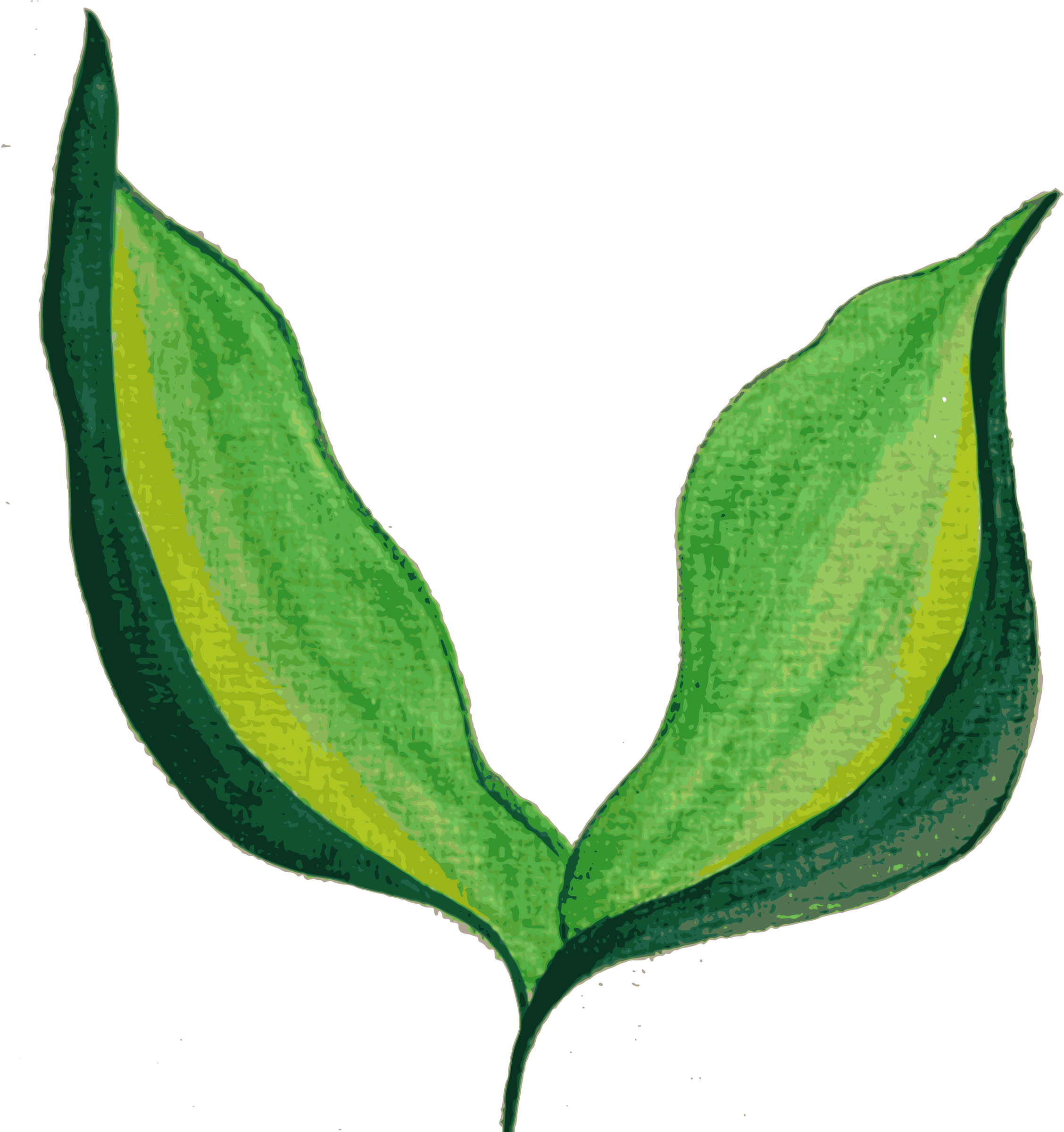 Big Image - Clip Art Painted Leaf (2396x2400), Png Download