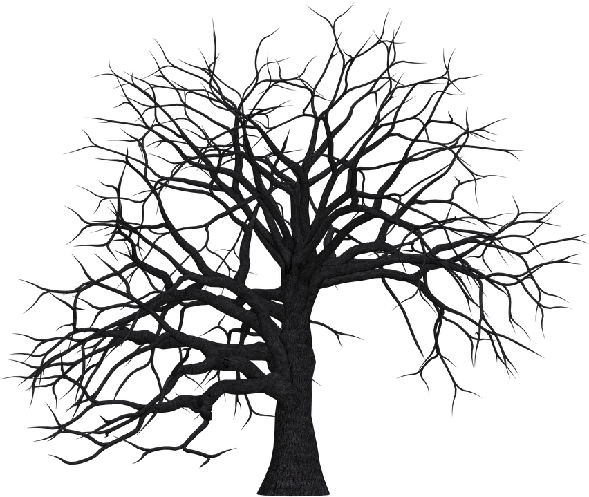 Tree, Digital Art, Isolated, Without Leaves, Leafless - Tree Trunk Silhouette Png (960x720), Png Download