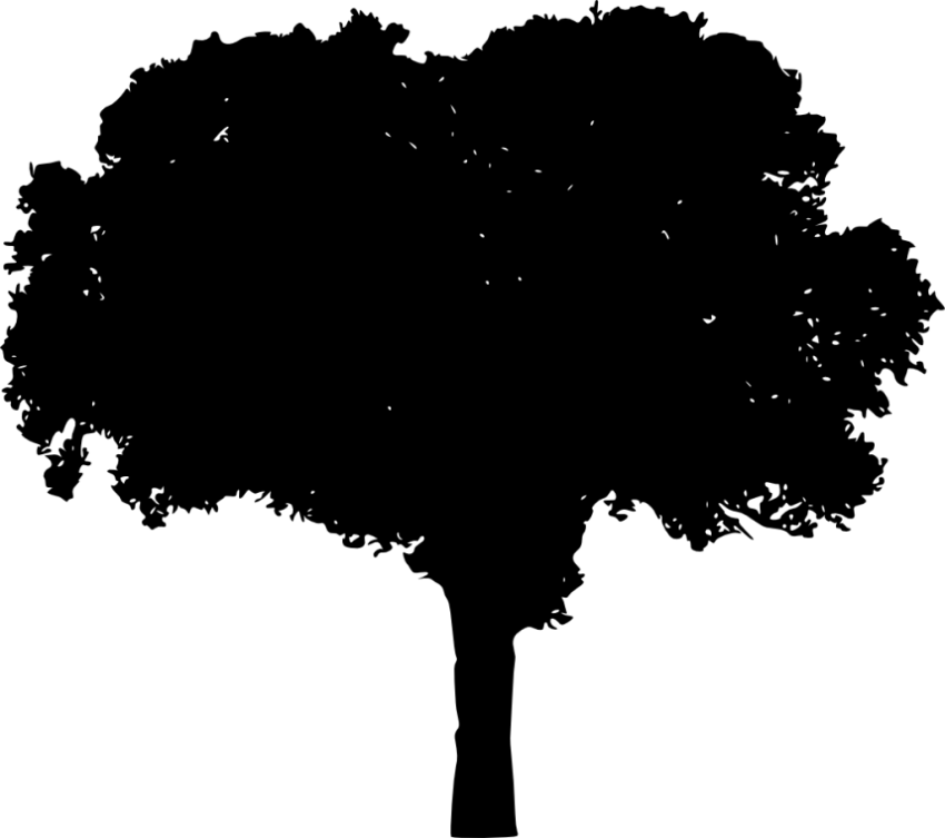 Free Png Tree Silhouette Png Images Transparent - Portable Network Graphics (850x753), Png Download