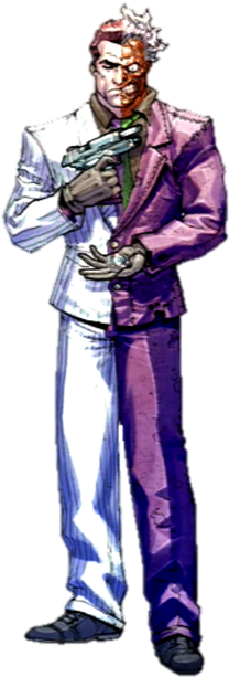 Baa-twoface Bio - Arkham Asylum Character Bio Art (282x660), Png Download