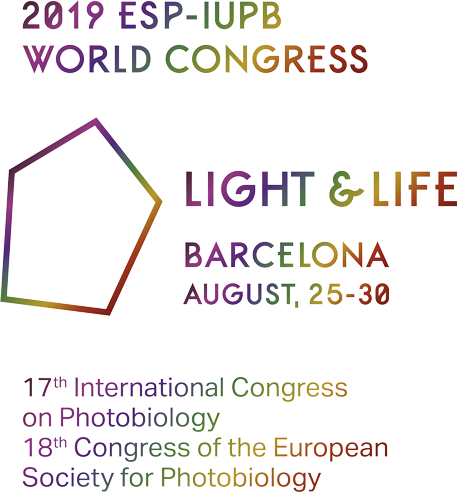 2019 Esp-iupb World Congress - Murde Mountains: Valley Of Progress, Archive 1 [book] (457x492), Png Download