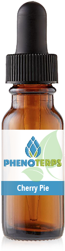 Cherry Pie - Tan (522x522), Png Download