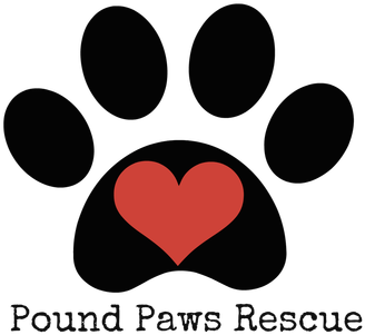 Giving Pound Dogs The Chance They Deserve - Rileysstar Rescue Mom Glass Pendant (404x320), Png Download