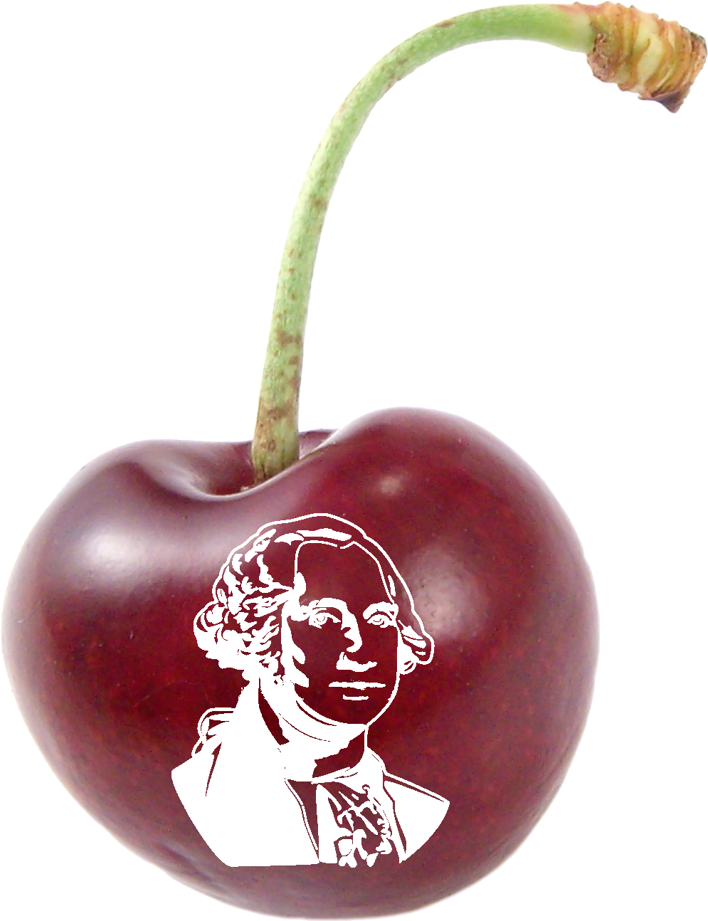 George Washington & Cherry Pie Hikes - Black Cherry (1172x1407), Png Download