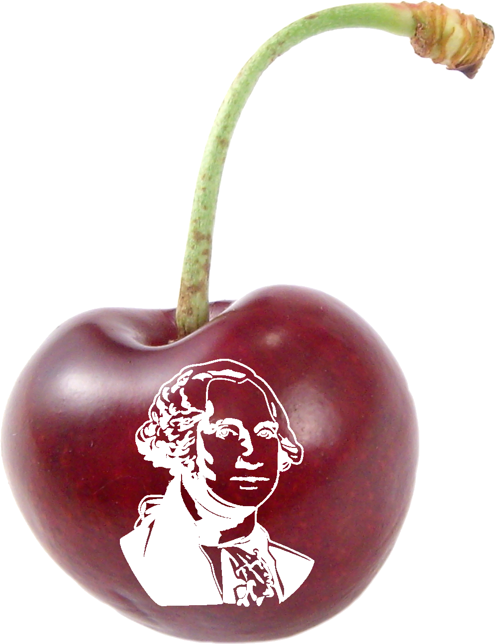 Download George Washington & Cherry Pie Hikes - Black Cherry PNG Image ...