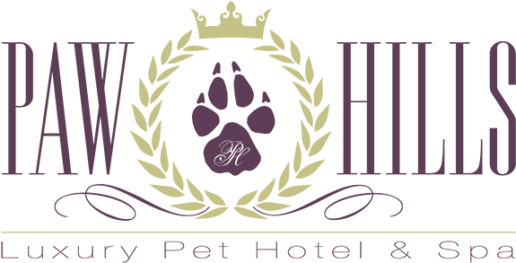 Dog & Cat Day Care, Boarding & Grooming Agoura Hills, - Conservation Agriculture Logo (600x304), Png Download