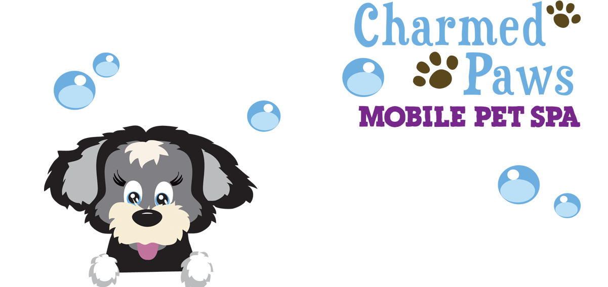 Mobile Dog Groomers & Pet Spa - Santa Gift Enclosure Cards (1200x577), Png Download