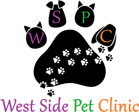 Perfect Yesterday (500x500), Png Download