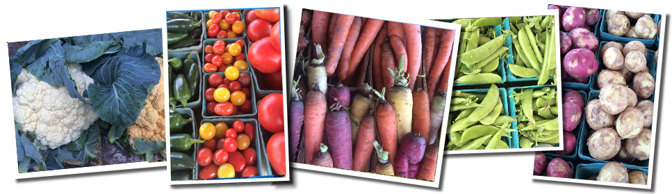 Thompson Produce (967x280), Png Download