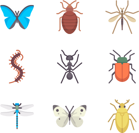 Insects - Insect (600x564), Png Download