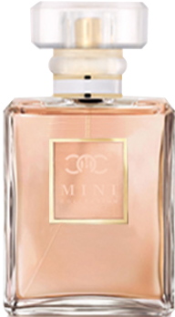 Mini Collection - Coco Mademoiselle By Chanel For Women Edp 50ml - Tester (350x350), Png Download