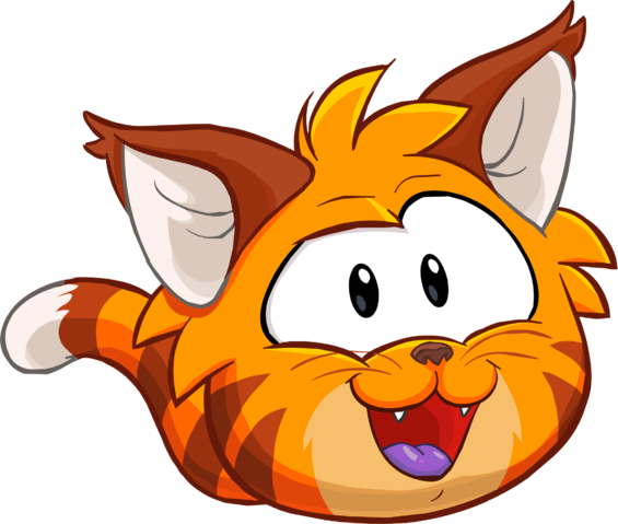 Puffle 2014 Transformation Player Card Orange Tabby - Club Penguin Cat Puffle (565x479), Png Download