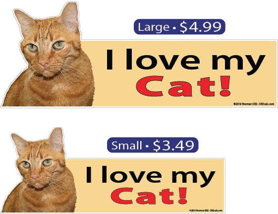 I Love My Tabby Cat - Cat (561x431), Png Download