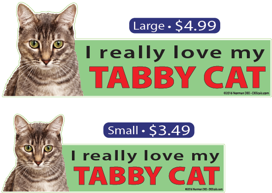 I Love My Gray Tabby Cat - Cat (552x391), Png Download