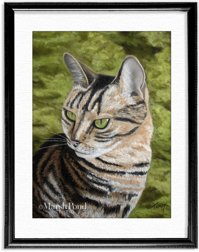 Wm-tabbycat Black (708x865), Png Download