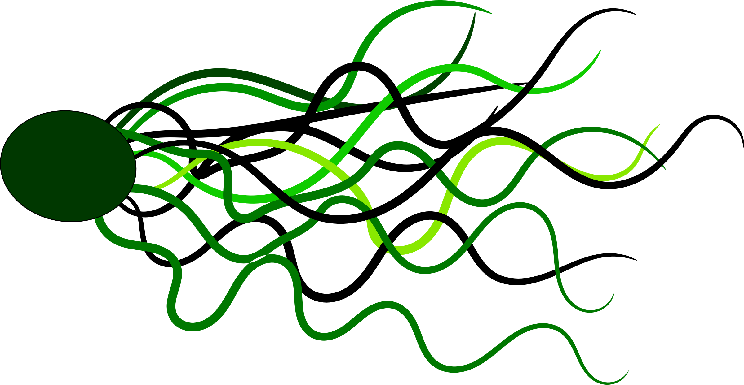 Flowing Png (2400x1244), Png Download