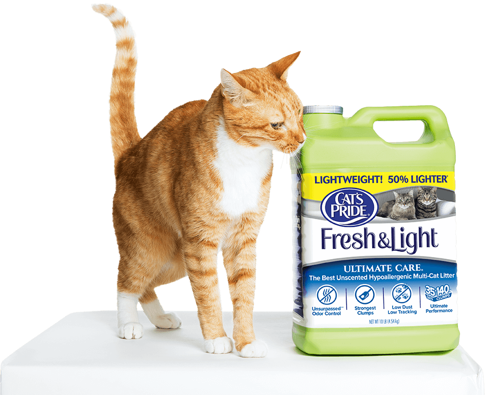 Cat's Pride Litter Is Stocked In Stores Across America - Cats Pride C47512 Fresh And Light Ultimate Care Premium (950x773), Png Download