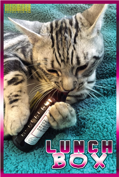 Image Of Lunchbox & Lean - Cat Grabs Treat (576x576), Png Download