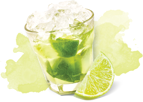 Raspberry Caipirinha - Livro - Papagaio Louro: Como Lidar Com As Diferencas (496x371), Png Download