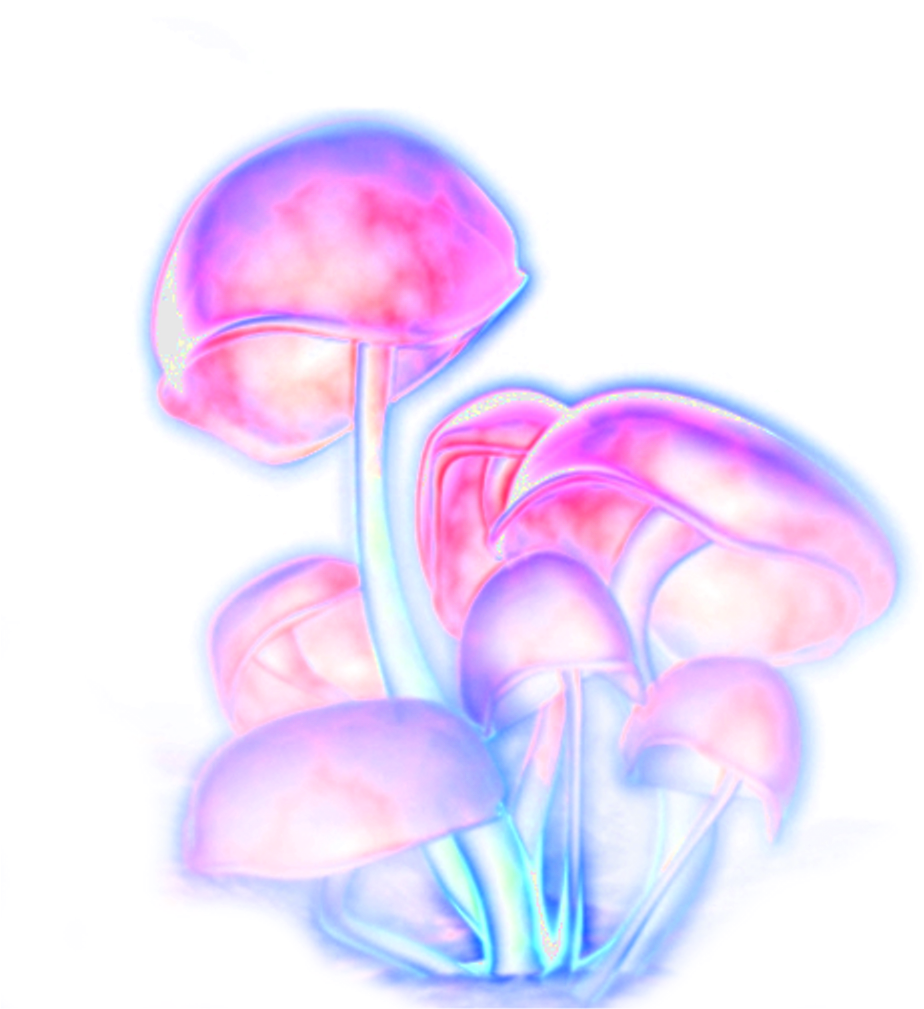 Mushrooms Shrooms Trippy Trippyart Freetoedit - Glowing Mushroom Png (1024x1024), Png Download