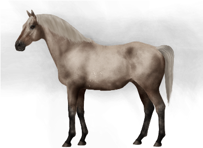 Taken On Mon Feb 13, 2017 - Horse (450x300), Png Download