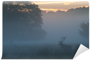 Sunset (400x400), Png Download