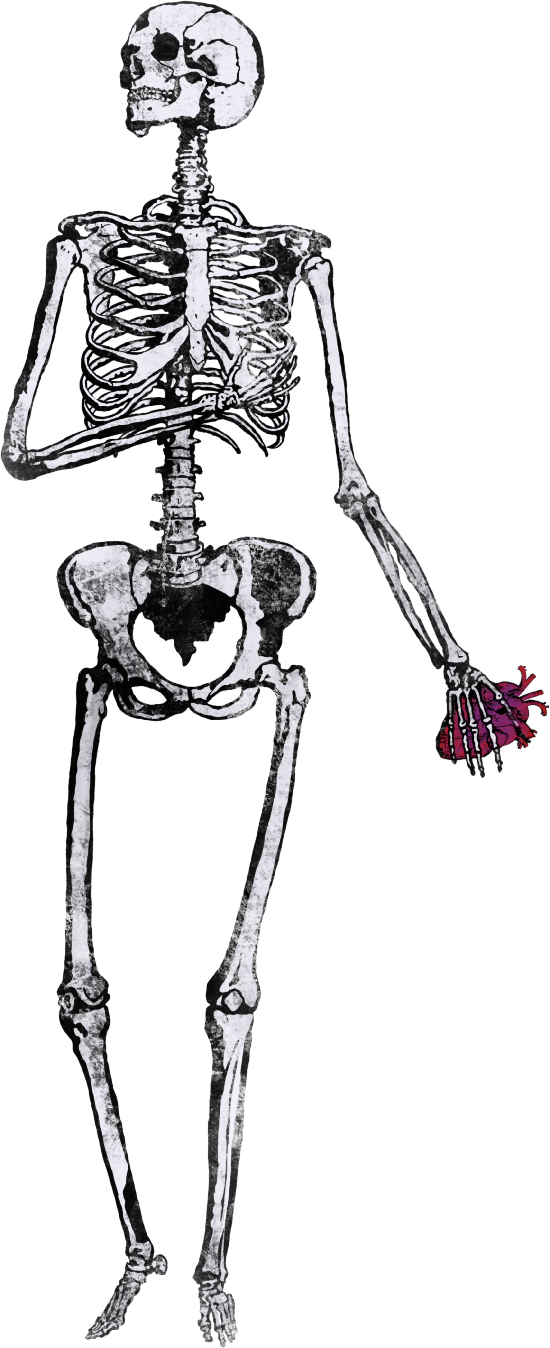 Image Of Heartless - Illustration (4961x7016), Png Download