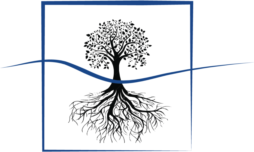 Asleep In The Light - Root (1024x807), Png Download