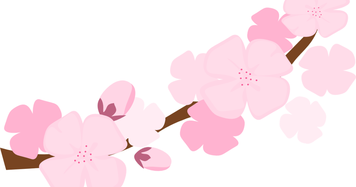 Clipart Resolution 1200*630 - Cherry Blossom Png Transparent (1200x630), Png Download