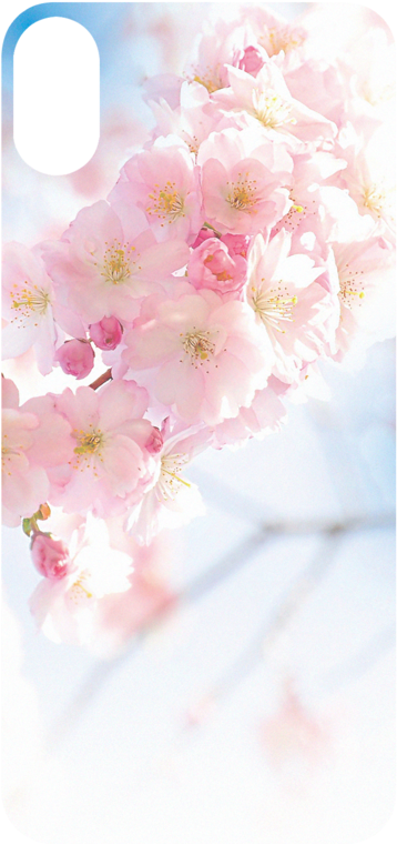 Ssa0108653 A018 - Kw-commerce Crystal Case Für Samsung Galaxy J5 (2015) (1024x1024), Png Download