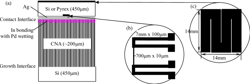 Schematic Of A Cna Sample, (b) Metal Pattern On A Glass - Diagram (850x287), Png Download
