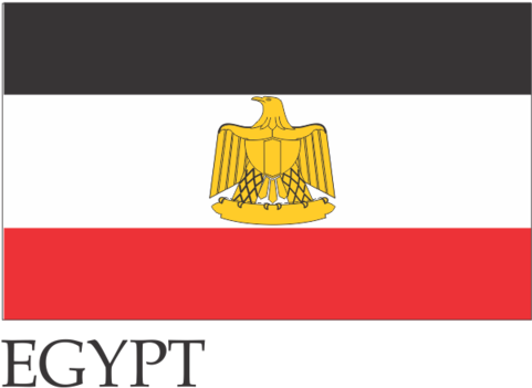 Egypt Flag 3 X 5 Feet - Emblem (480x480), Png Download
