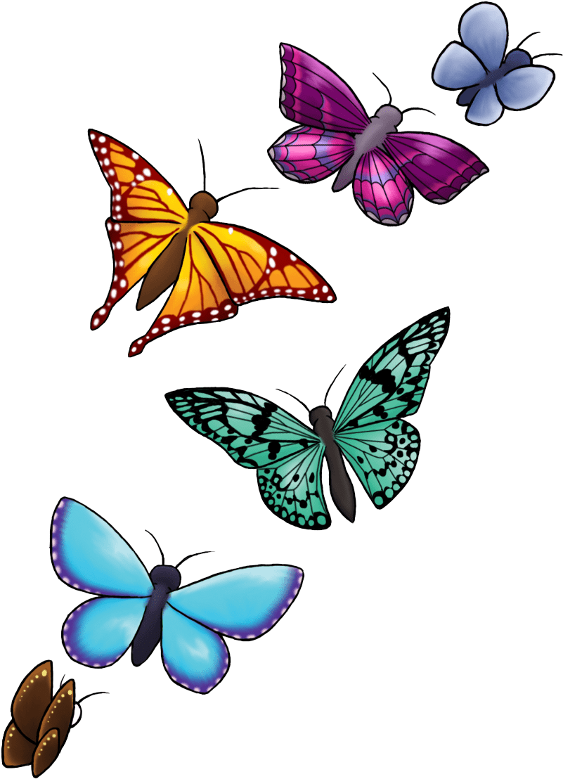 Butterfly Png (842x1128), Png Download