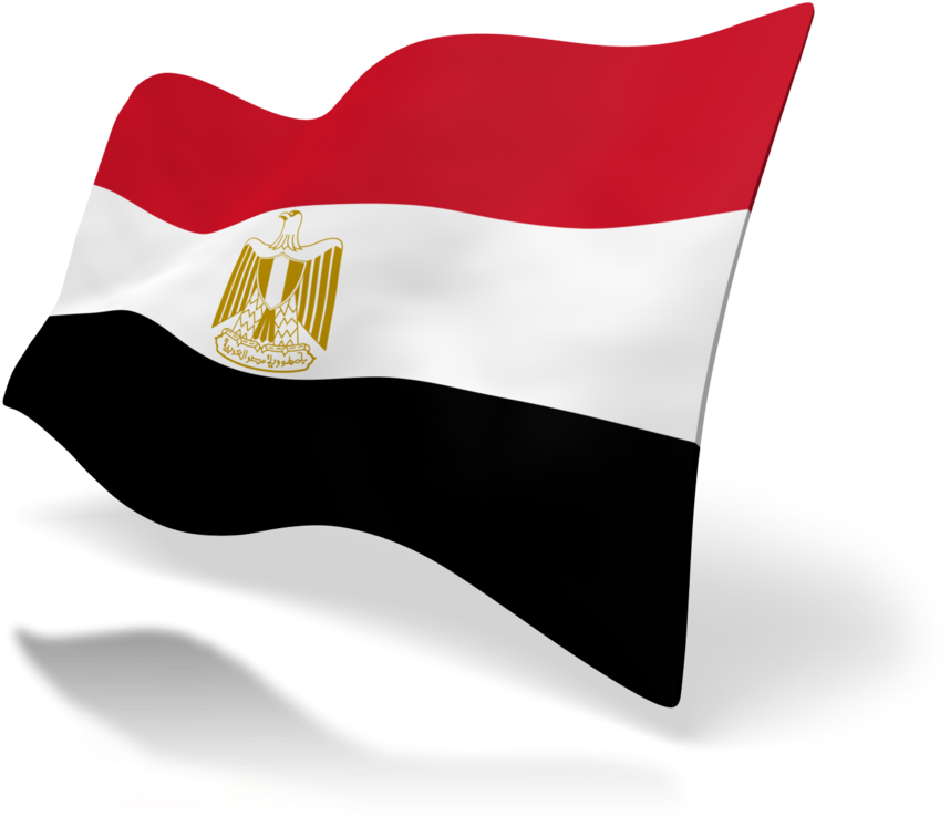 Calling All Bsos Students Looking For A Paid Research - 3drose Flag Of Egypt - Egyptian Red White Black With (1000x750), Png Download