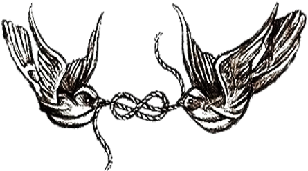 Download Harry Styles Butterfly Tattoo Transparent - Larry Stylinson Tattoos  Transparent PNG Image with No Background 