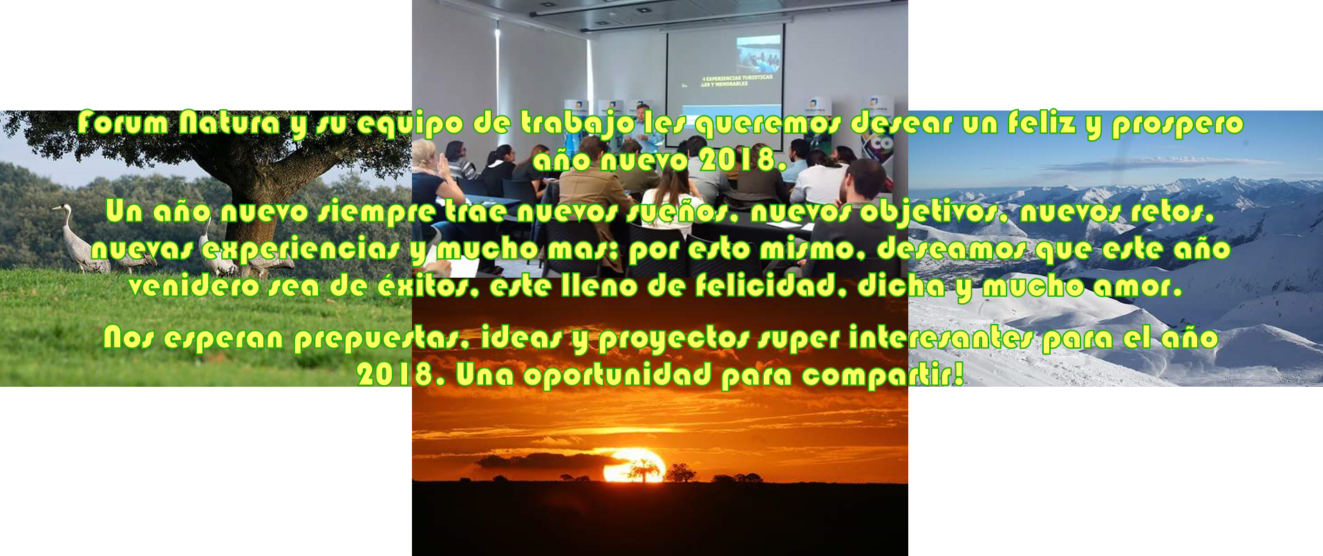 Feliz Año Nuevo - True Believer - (import Dvd) (1914x805), Png Download