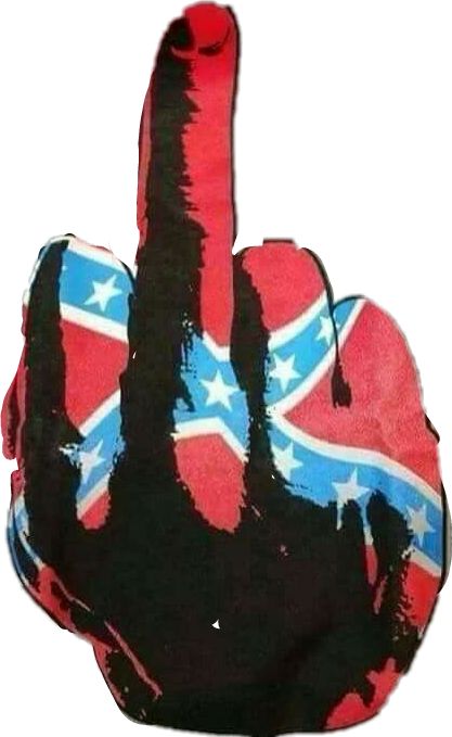 Report Abuse - Confederate Flag Middle Finger (417x679), Png Download