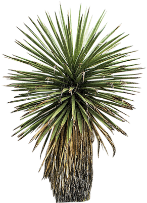 Tree - Arbre - Victoriabea - Tree (400x400), Png Download