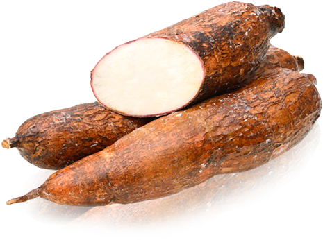 Yuca - Imagen De Una Yuca (500x500), Png Download