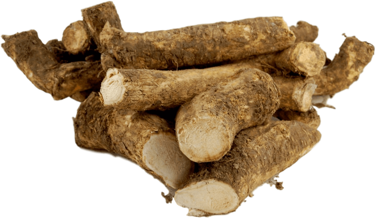 Horseradish Png - Plants (1500x1129), Png Download