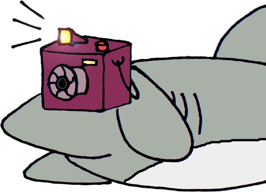 Shark With Camera Cartoon (1024x941), Png Download