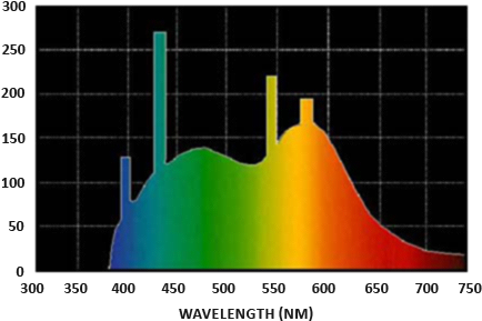 Spectral Distribution Of Daylight - Light Bulb Spectrum (445x294), Png Download