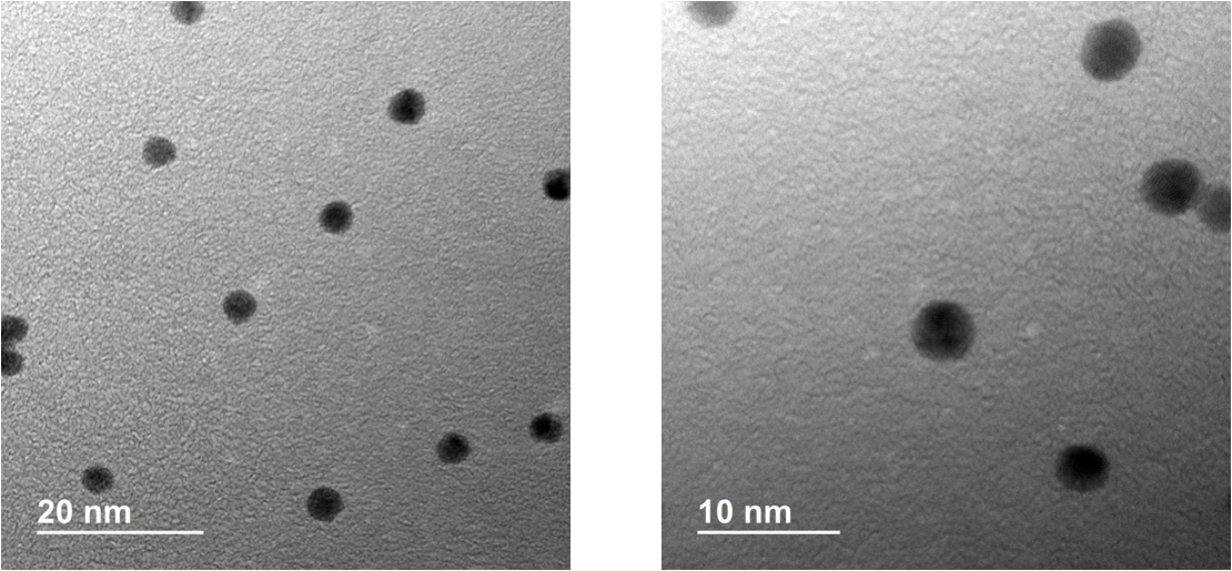 Au Np - Monochrome (1110x515), Png Download