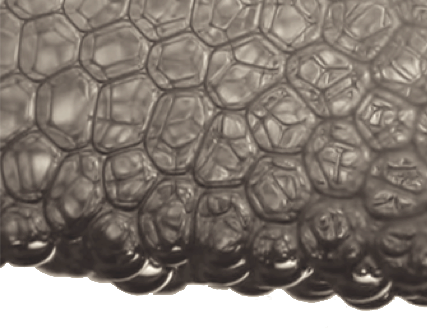 Sloshing Damped By Foam - Motif (427x328), Png Download