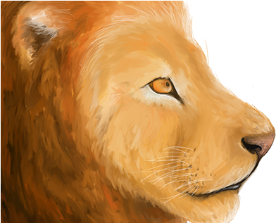 Masai Lion (404x316), Png Download