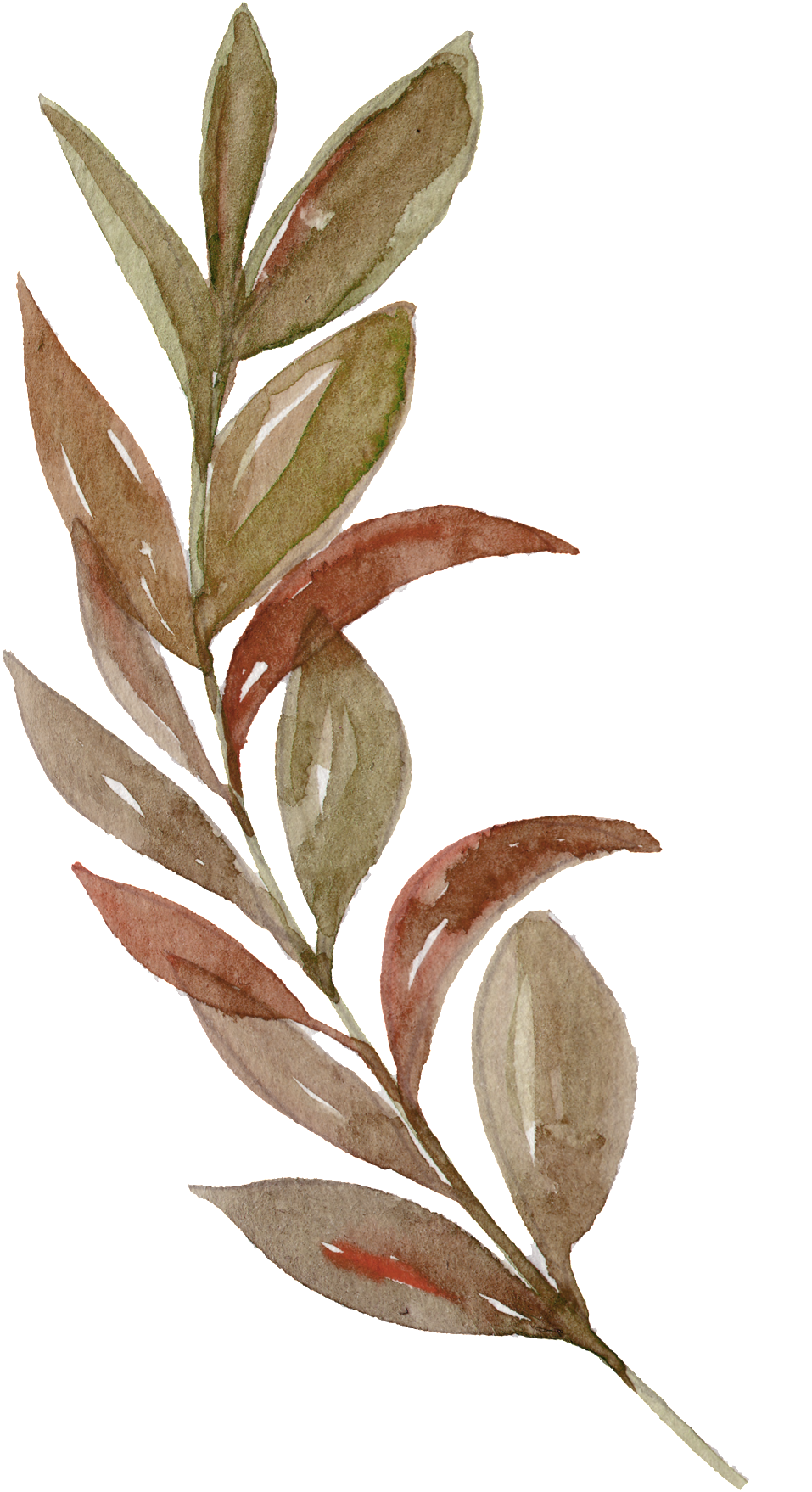 Watercolor Branches Leaves Free Illustration - Rustikaler Erntedank Verlässt Stoff-servietten Serviette (1024x1891), Png Download