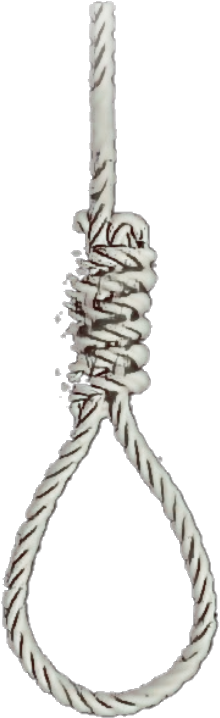 Report Abuse - Noose (605x957), Png Download