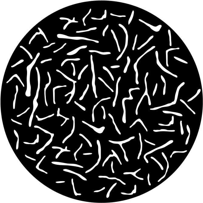 Chicken Scratches - Apollo Design 2132 Chicken Scratches Steel Pattern (800x800), Png Download