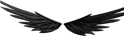 Download Misfortune S Guardian S Wings Roblox All Wings Png